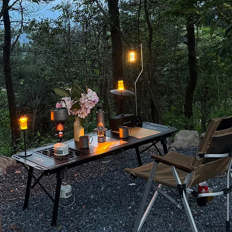 TB9002 Aluminum Fold Up Camping Table for Outdoor Use 