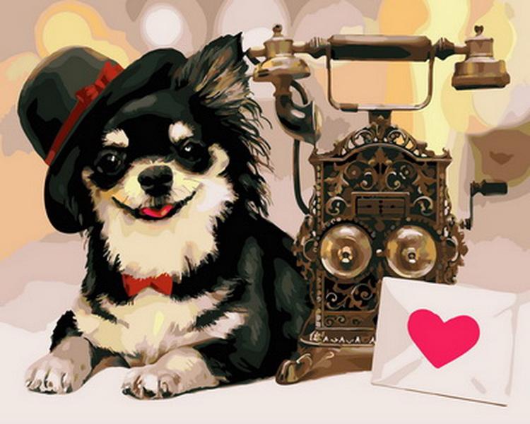 

Dog And Telephone – Paint By Numbers - 40*50CM, 501 Original