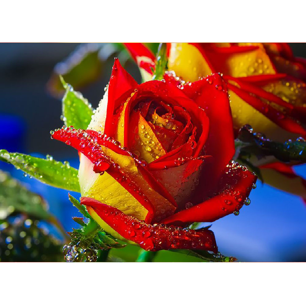 

30*40CM - Round Drill Diamond Painting - Red Rose, 501 Original