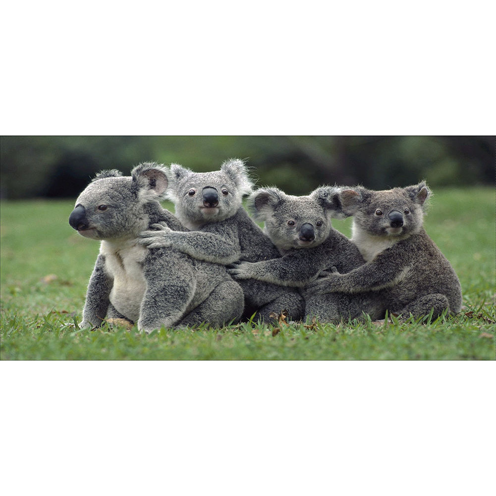 

60*30CM - Round Drill Diamond Painting - Four Koalas, 501 Original