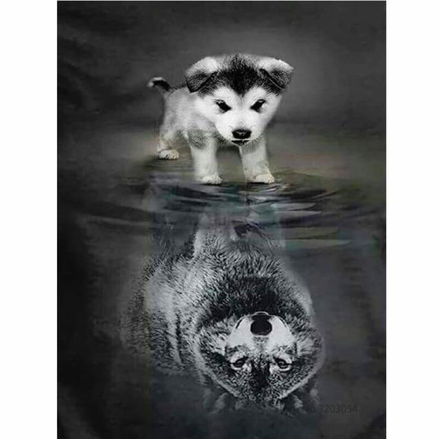 

Wolf in The Mirror – Paint By Numbers - 40*50CM, 501 Original