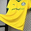 25/26 Palmeiras Soccer Jersey Third Away