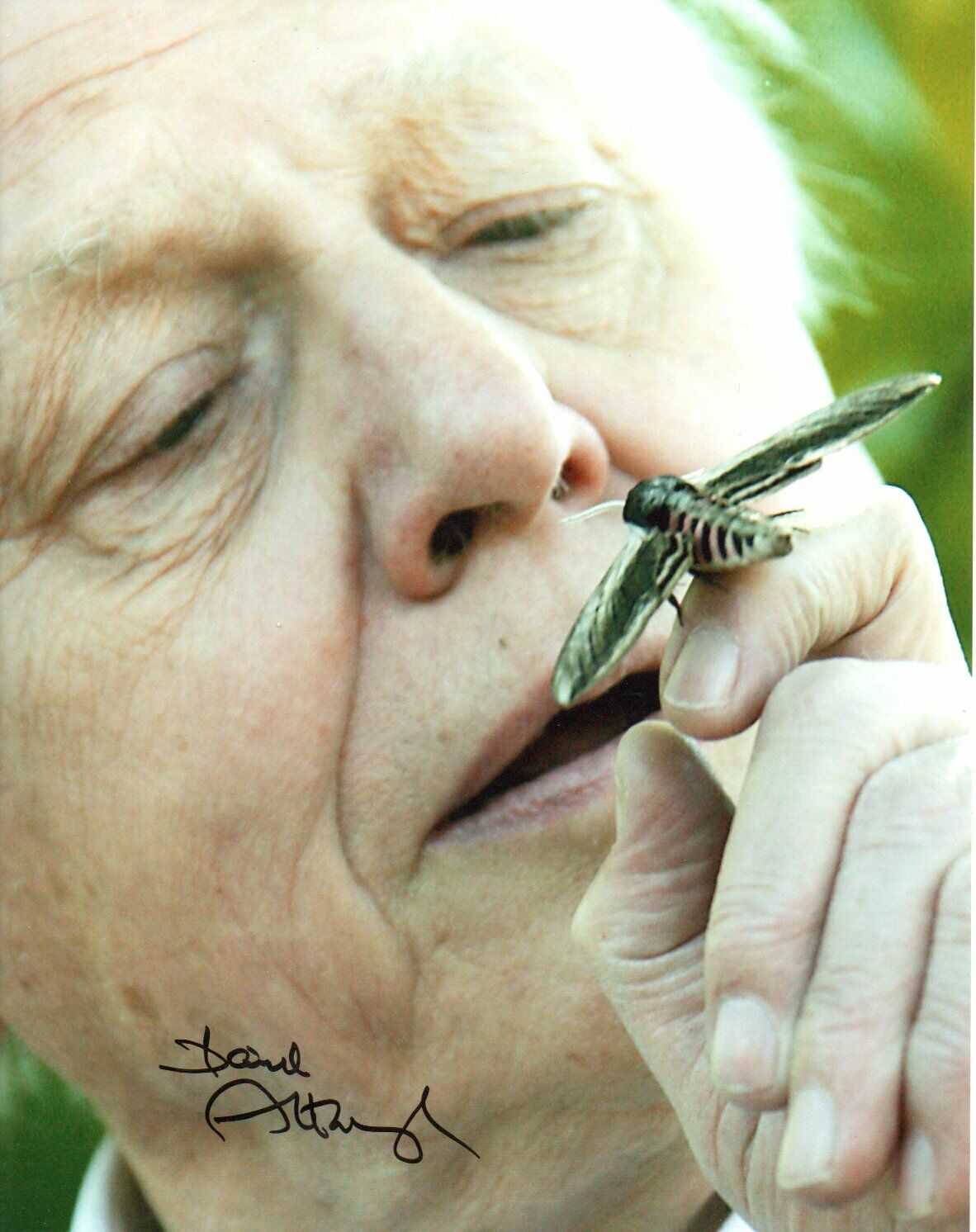 David Attenborough HAND Signed 10x8'' Photo Poster paintinggraph - Naturalist Broadcaster