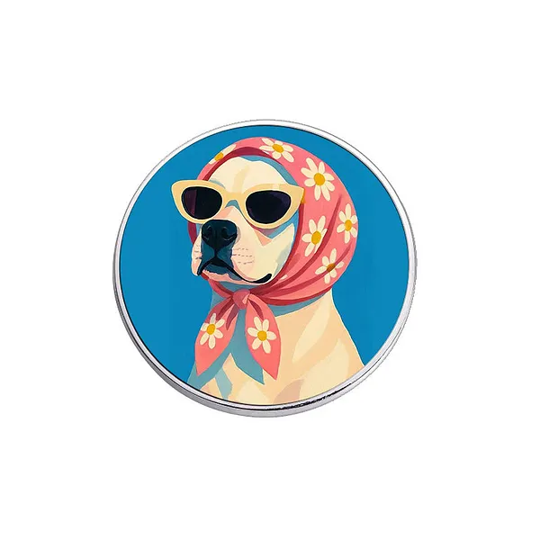 Foto del pin Perrito Sol Radiante