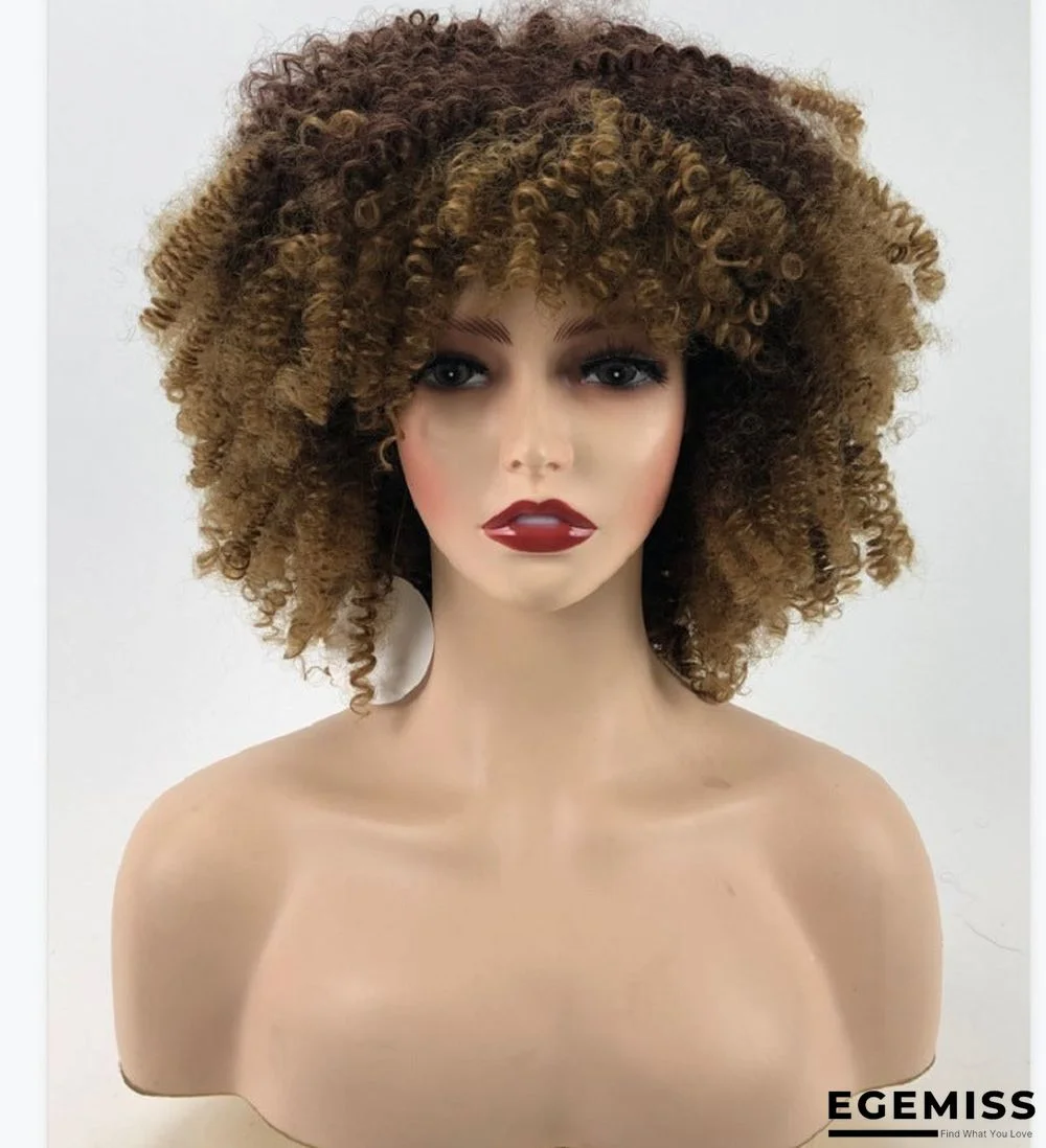 Women's Wig Fashion Explosion Small Curly Short Curly Hair | EGEMISS