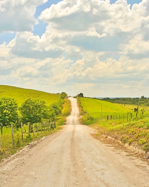 

Beautiful Road – Paint By Numbers - 40*50CM, 501 Original