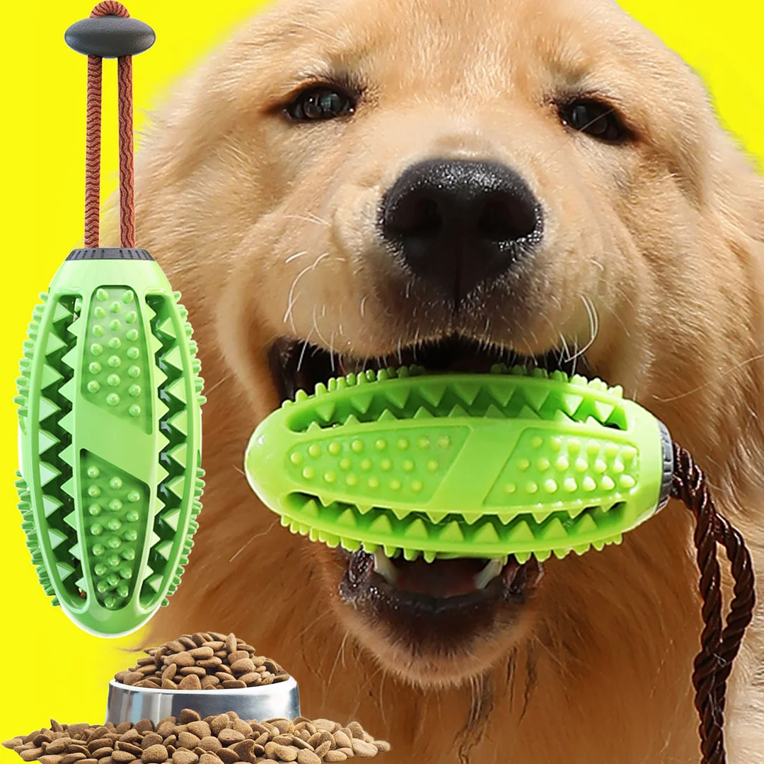 How to choose pet toys correctly? Introduction of dog's favorite toys and how to play them