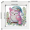 5D DIY Partial Special Shaped Drill Diamond Painting With Frame Kit Owl Decor 19.2x19.2cm