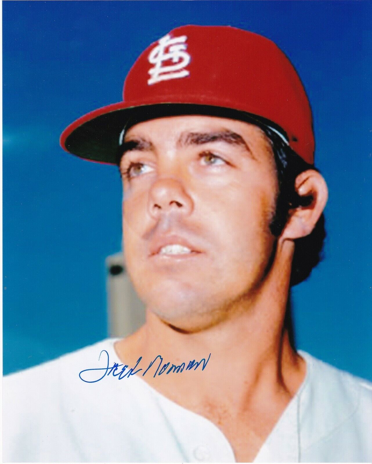 FRED NORMAN ST. LOUIS CARDINALS ACTION SIGNED 8x10