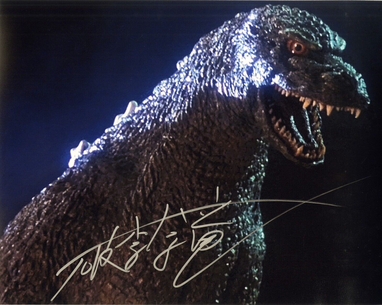 Hurricane Ryu Hariken signed GODZILLA Jr 14x11 Photo Poster painting