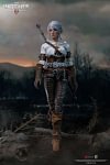 1/6 Scale Movable Cirilla Fiona Elen Riannon - The Witcher 3: Wild Hunt Official Statue - PureArts