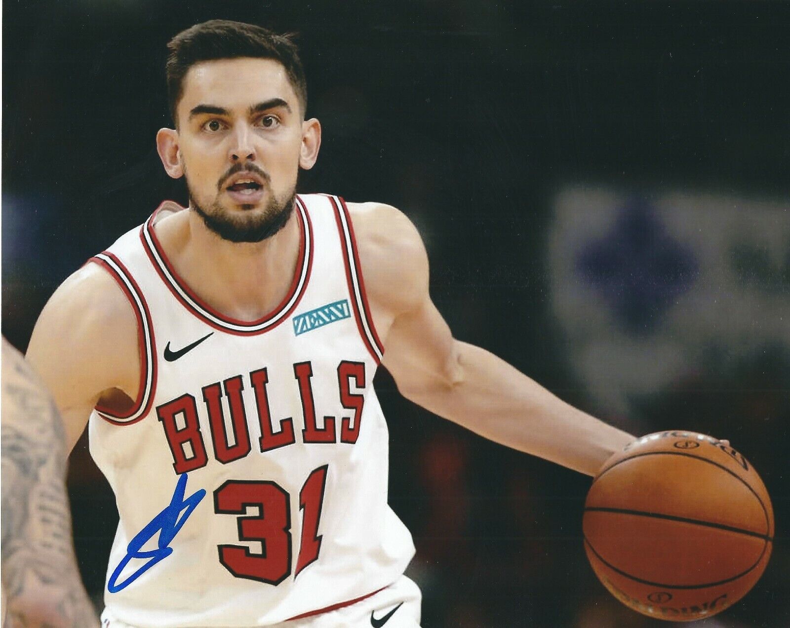 Autographed 8x10 TOMAS SATORANSKY Chicago Bulls Photo Poster painting - w/ COA