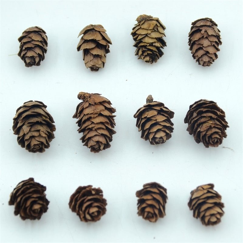 50pcs Natural Cheap Mini Pine Nuts Artificial Fake Fruit Vegetable For Home Wedding Decoration Christmas Tree Decoration