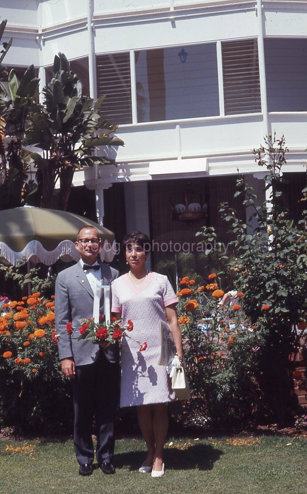 COUPLE HOLDING FLOWERS Old 35mm FOUND SLIDE Man WOMAN Transparency Photo Poster painting 17 K