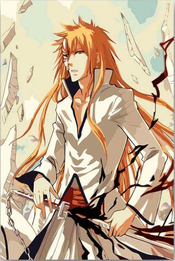 

Hollow Ichigo – Paint By Numbers - 40*50CM, 501 Original
