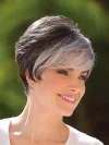 Mix Color Black to Gray Short Wig