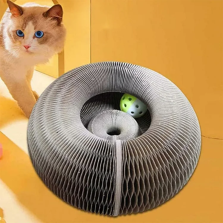 Magic Organ Cat Scratching Board | AvasHome