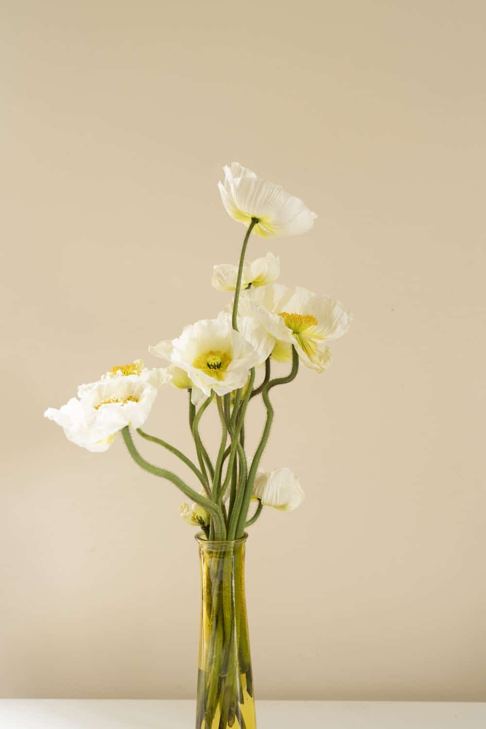 

Vanilla Flowers – Paint By Numbers - 40*50CM, 501 Original