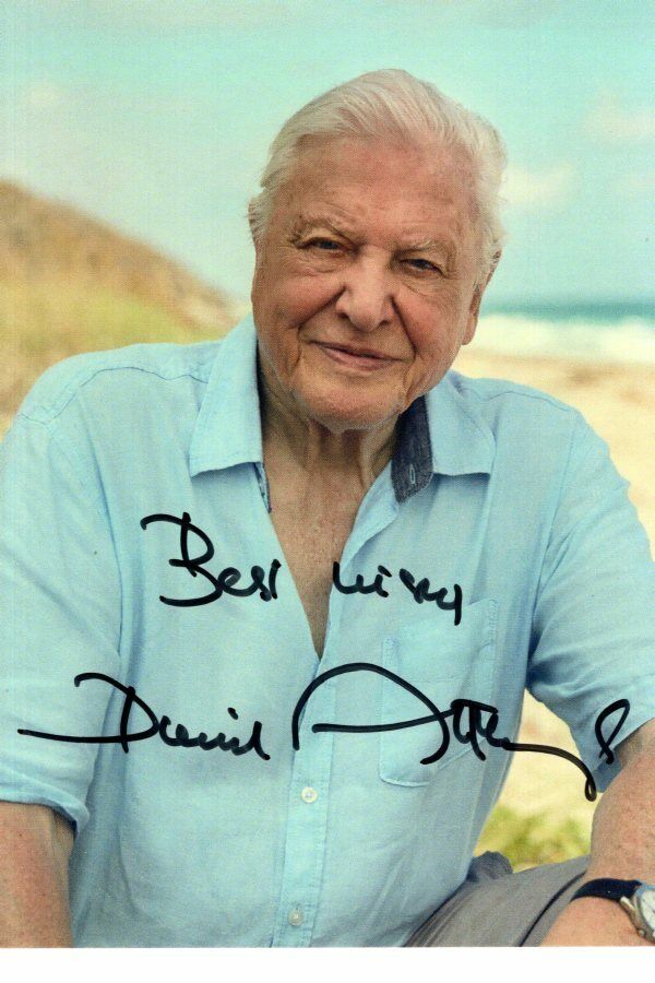 DAVID ATTENBOROUGH Signed Autographed Photo Poster painting