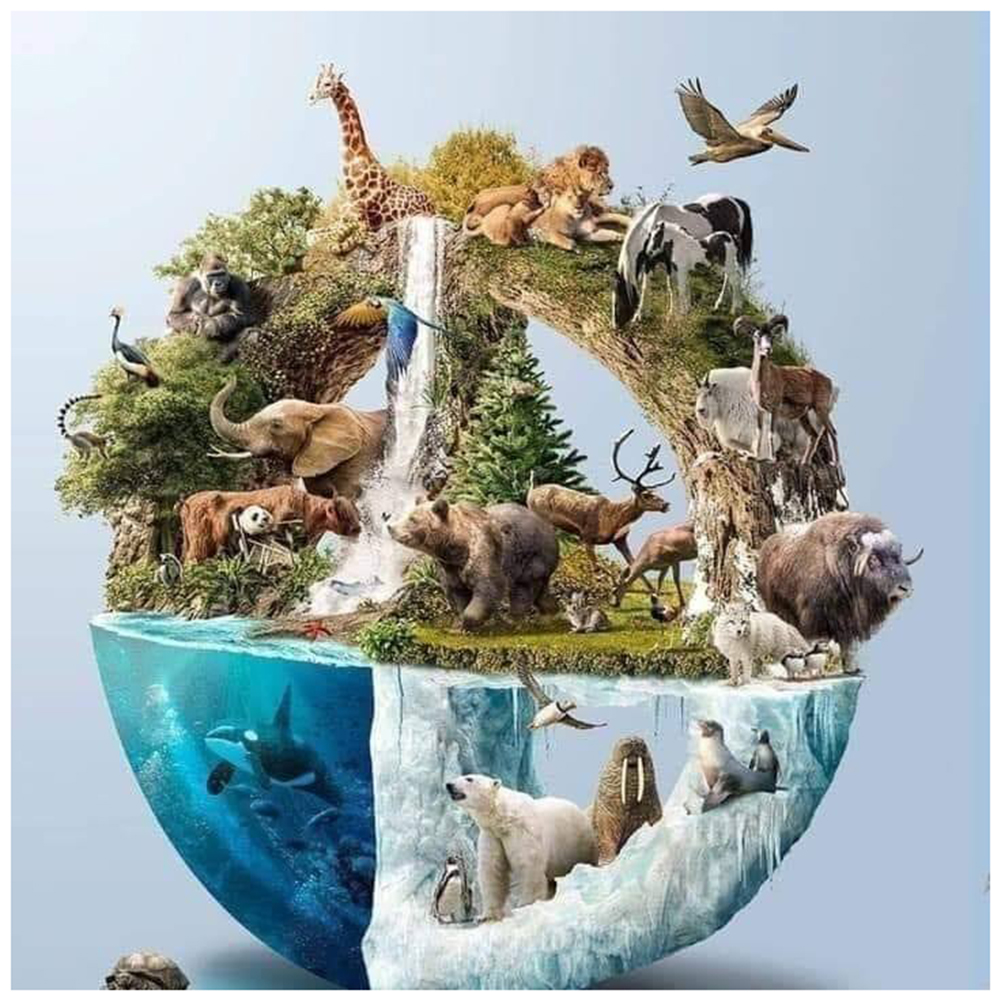 

50*50CM - Round Drill Diamond Painting - Animals on Earth, 501 Original