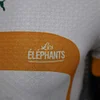 2022 Player Version Ivory Coast Away Football Shirt 1:1 Thai Quality