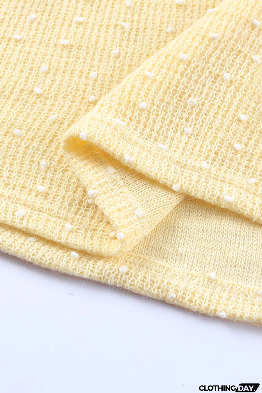 Swiss Dot Raglan Sleeves Knit Top