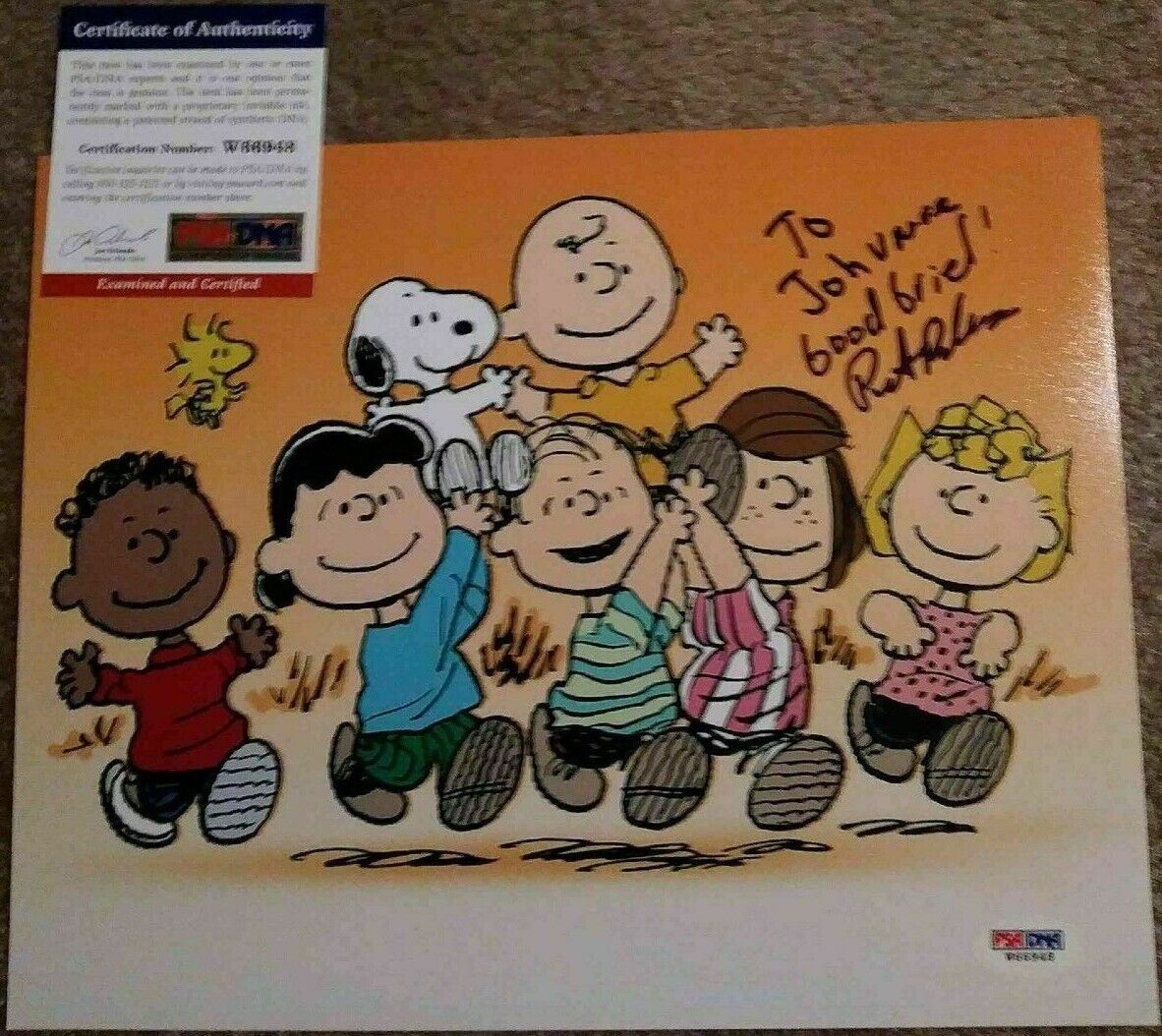 PEANUTS PETER ROBBINS Original Voice of CHARLIE BROWN Signed 8x10 Photo Poster painting COA PSA