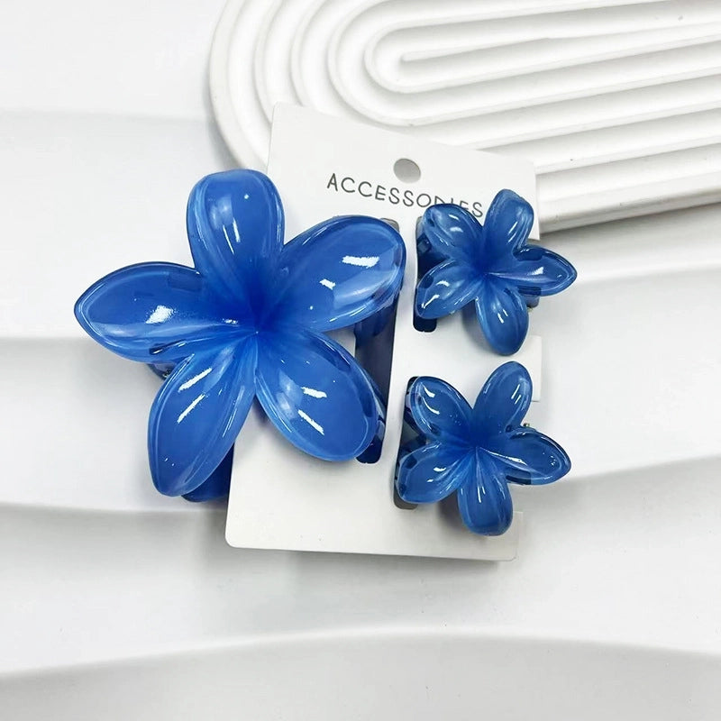 Vacation Modern Style Women’s Flower Resin Hair Claws