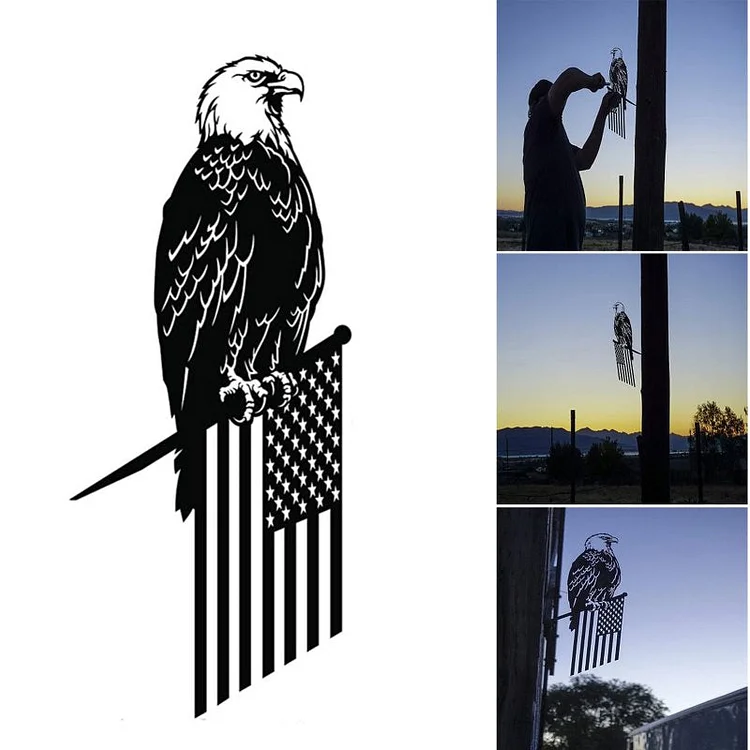Steel Freedom Eagle Decoration