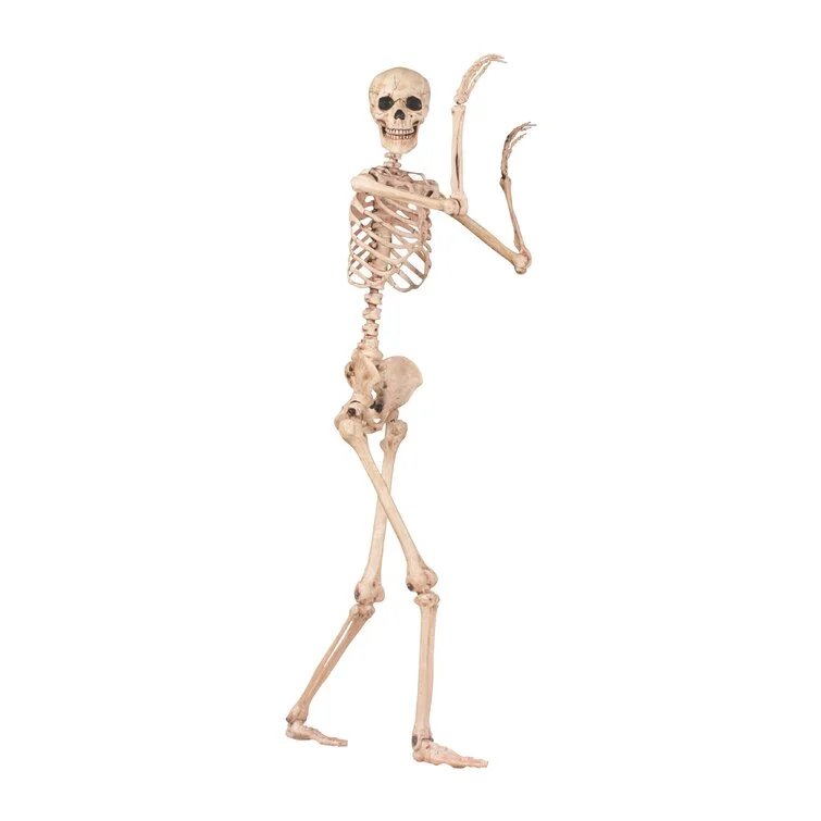 Pose-N-Stay Skeleton