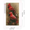 (40*70cm)Cardinal - Round Partial AB Drill Diamond Painting