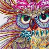 Owl - Special Shaped Diamond Painting  30x30cm