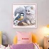 Pussycat And Robin-11CT Stamped Cross Stitch 40*40cm/15.75*15.75in tapestrymarket