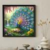Peacock -Special Shaped Diamond Painting