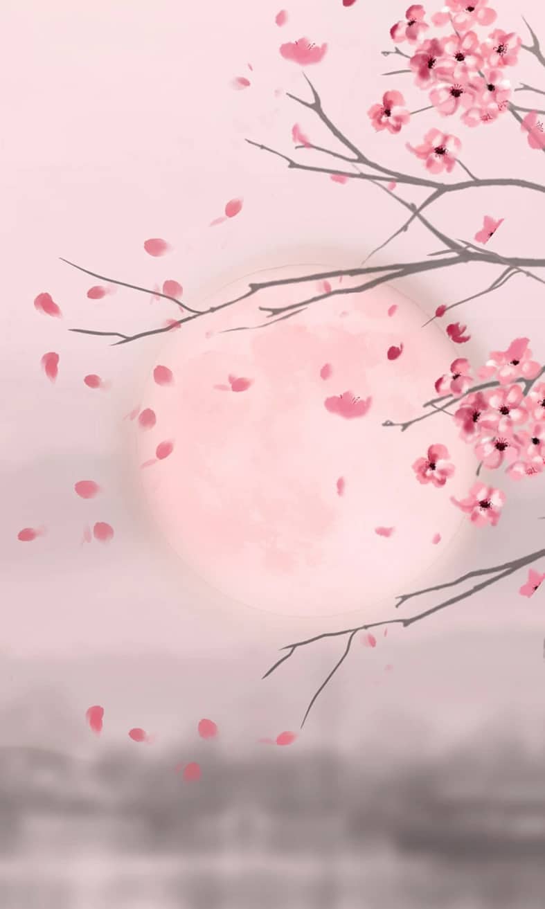 

Moon And Cherry Blossom – Paint By Numbers - 40*50CM, 501 Original