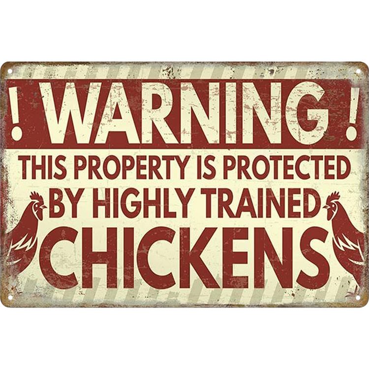 【20*30cm/30*40cm】Warning - Vintage Tin Signs/Wooden Signs
