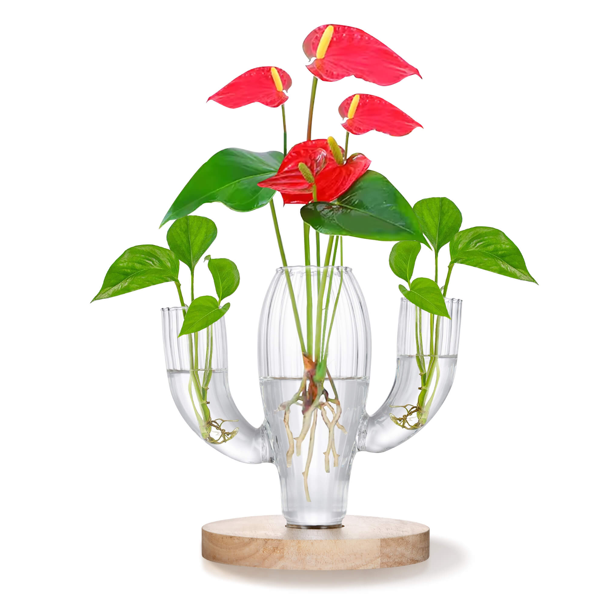 SuJolly Plant Propagation Stations, Unique Cactus-Shaped Plant Propagating Vase, 3 Independent Areas for Various Plants, Gardening & Housewarming Gifts for Plant Lovers, Home or Office Decor