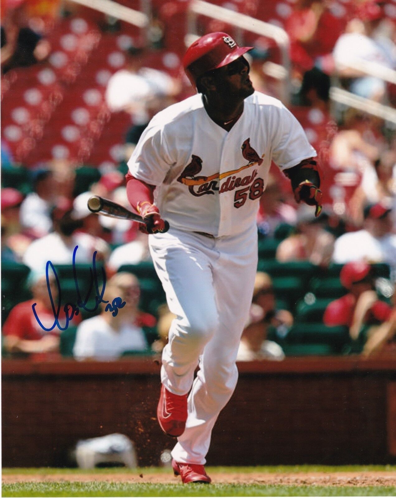 JOSE MARTINEZ ST. LOUIS CARDINALS ACTION SIGNED 8x10