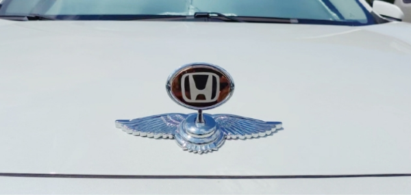 Stainless Steel Metal Car Logo On Car Hood