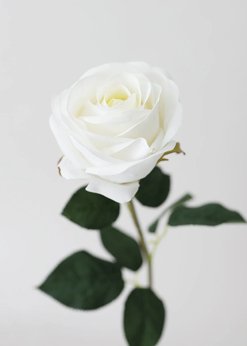 Real Touch White Rose Stem - 20"