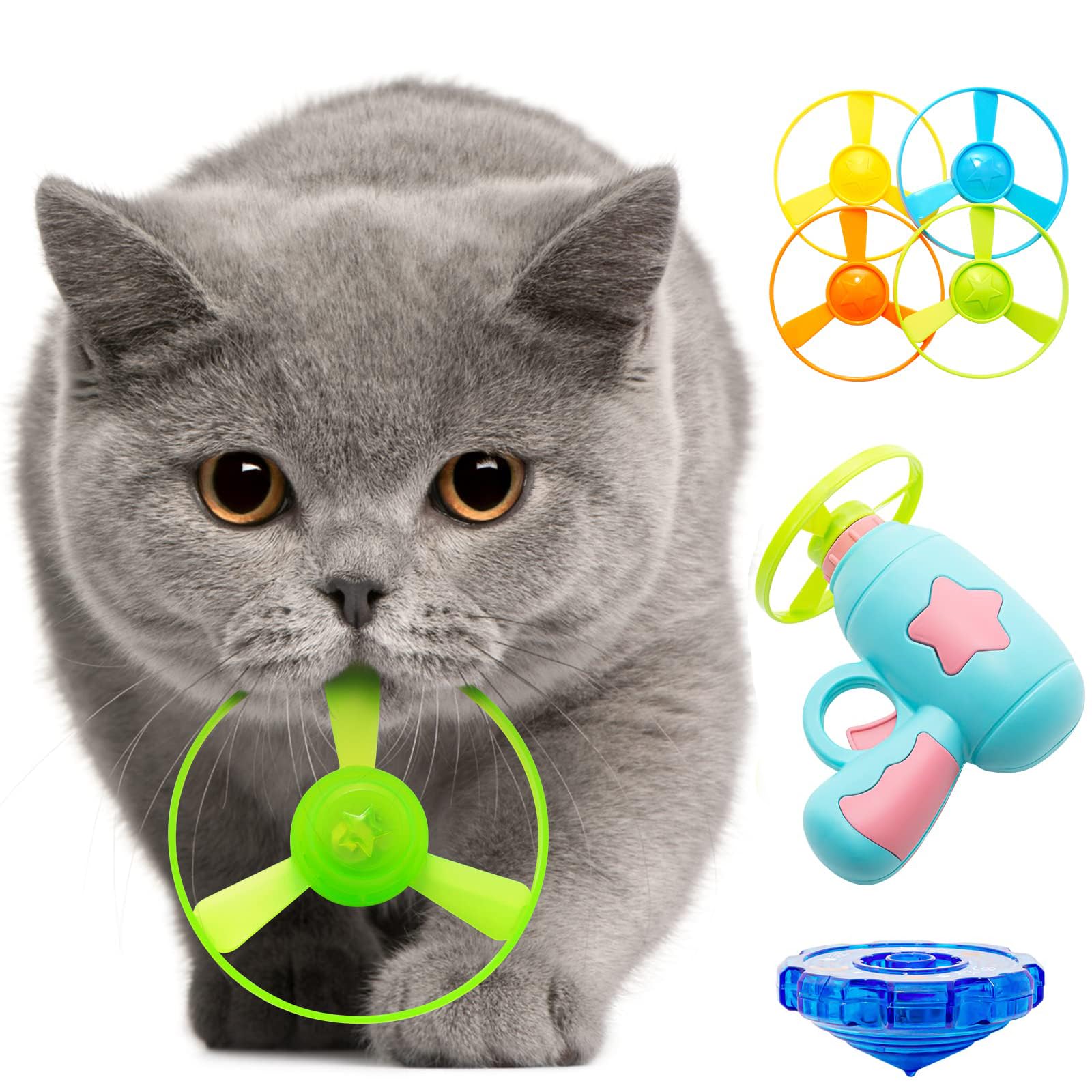 Cat holding propeller