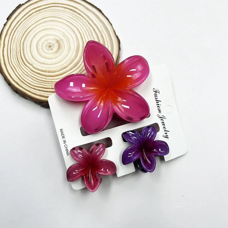 Vacation Modern Style Women’s Flower Resin Hair Claws