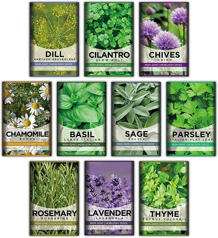 10 Variety Herb Seeds Garden Kit Non-GMO Packs For Gardening Gift