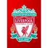 Diamond Painting -DIY Round Drill Liverpool