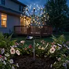 Solar Powered Firework Garden Lights Waterproof Decorative Starburst Fairy Light Easy To Install for Outside Patio Backyard Yard Walkway Decor