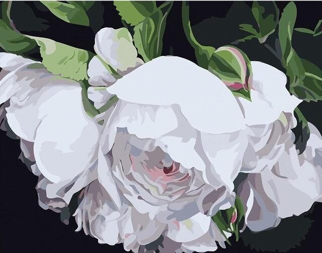 

White Blossoms – Paint By Numbers - 40*50CM, 501 Original