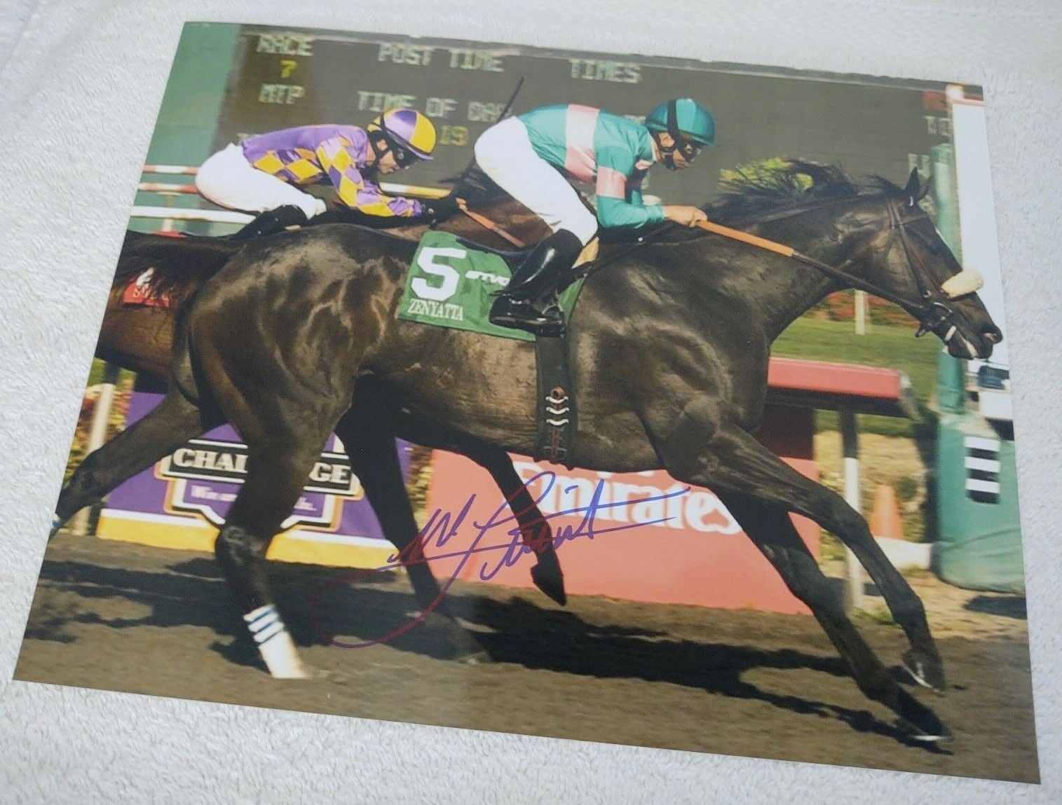 MIKE SMITH ZENYATTA 2010 LADYS SECRET STAKES SIGNED 8x10 HORSE RACING Photo Poster painting