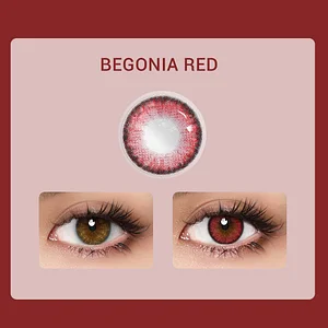 Aprileye Begonia Red