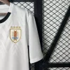 2025 Uruguay Soccer Jersey Away