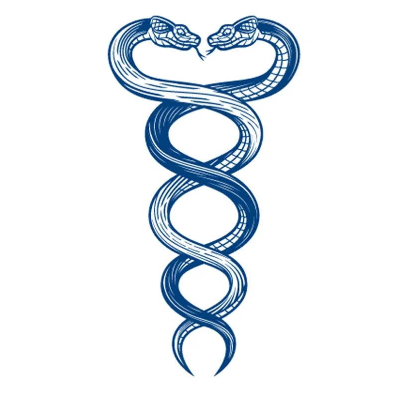 Semi-permanent Waterproof Temporary Tattoo Skull Snake Flower Body Art Tattoo Sticker Full Fake Tatoo Women Men